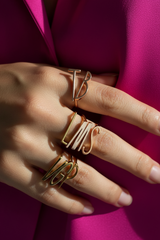 Anillo inicial