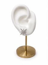Arete Earclimber Vía Lactia