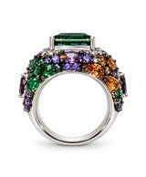 Anillo Edén