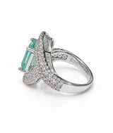 Anillo Despertar