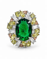Anillo Selva