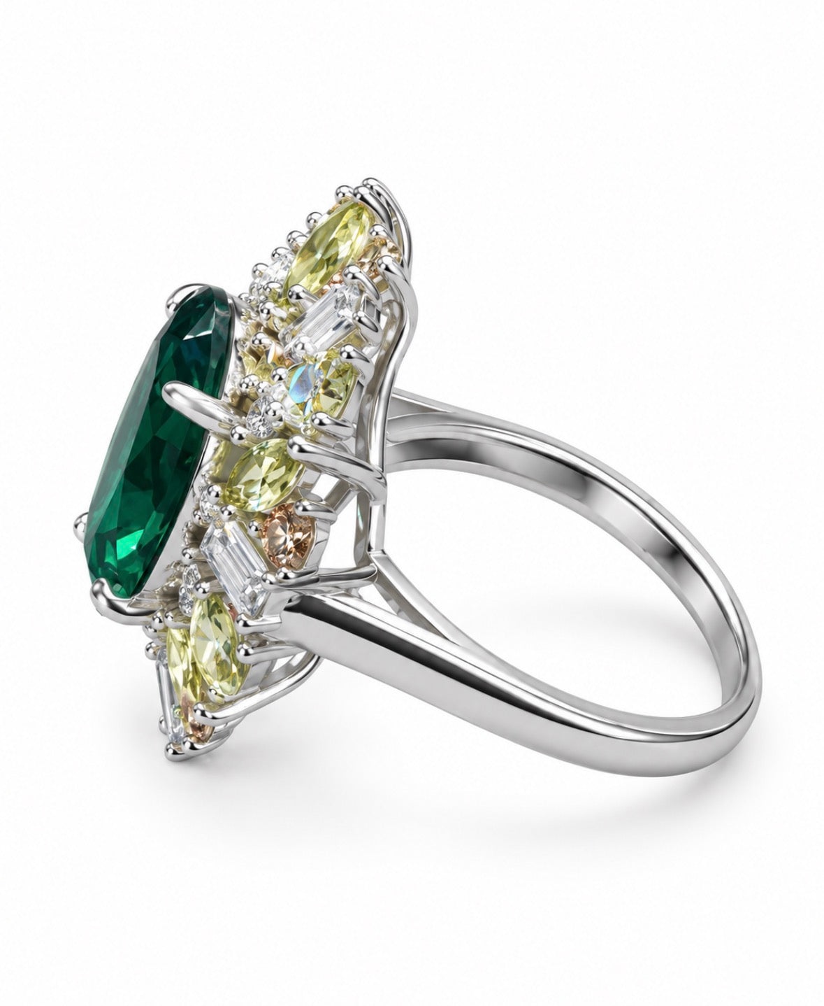 Anillo Selva