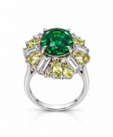 Anillo Selva