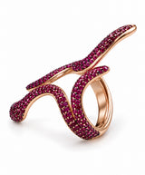 Anillo Serpentinas