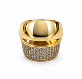 Anillo Terre