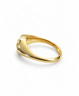 Anillo Sacro