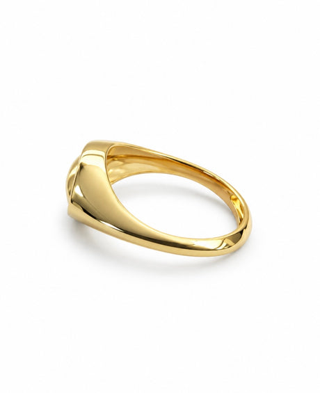 Anillo Sacro