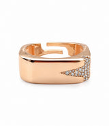 Anillo Rigel