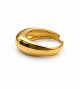 Anillo Dome