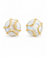 Aretes perina