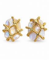 Aretes erizo