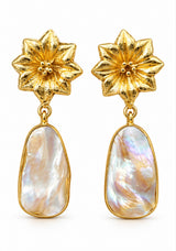 Aretes Floresta