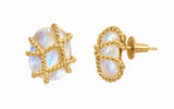 Aretes erizo