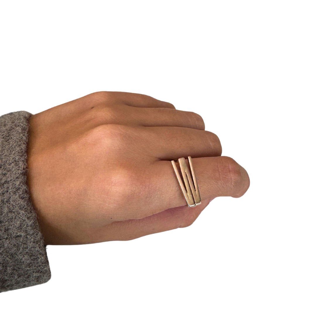 Anillo inicial
