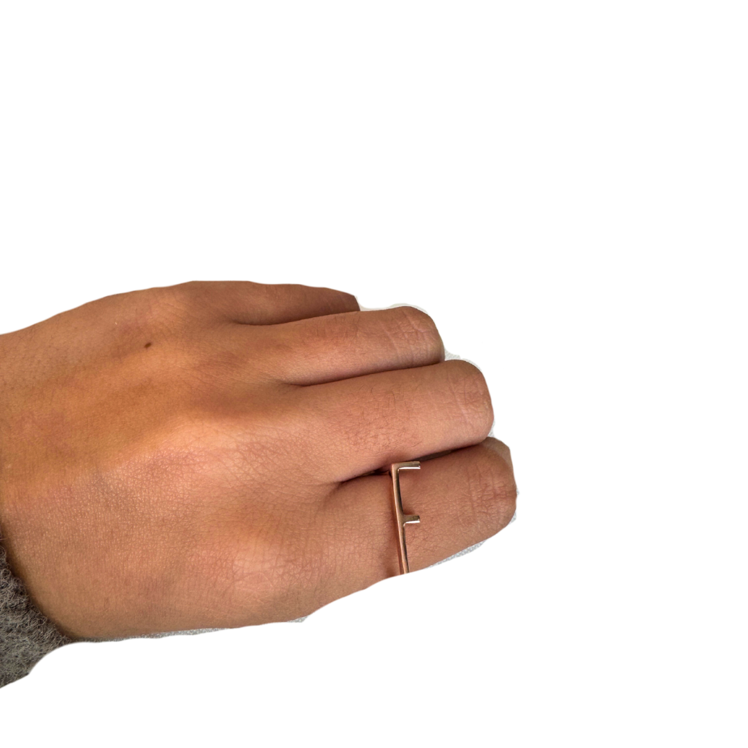 Anillo inicial