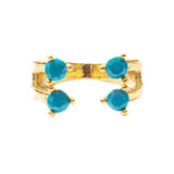 Anillo Acuario