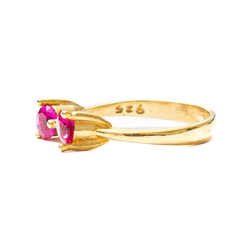 Anillo Gemelo 