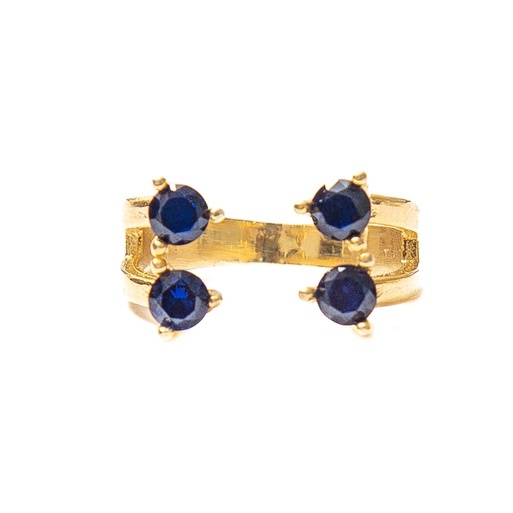 Anillo Acuario