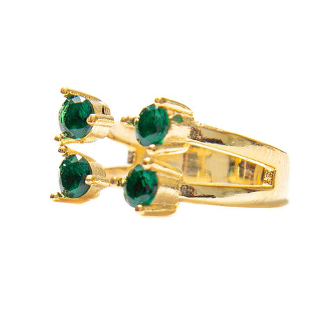Anillo Acuario