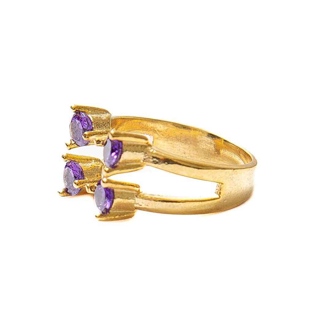 Anillo Acuario