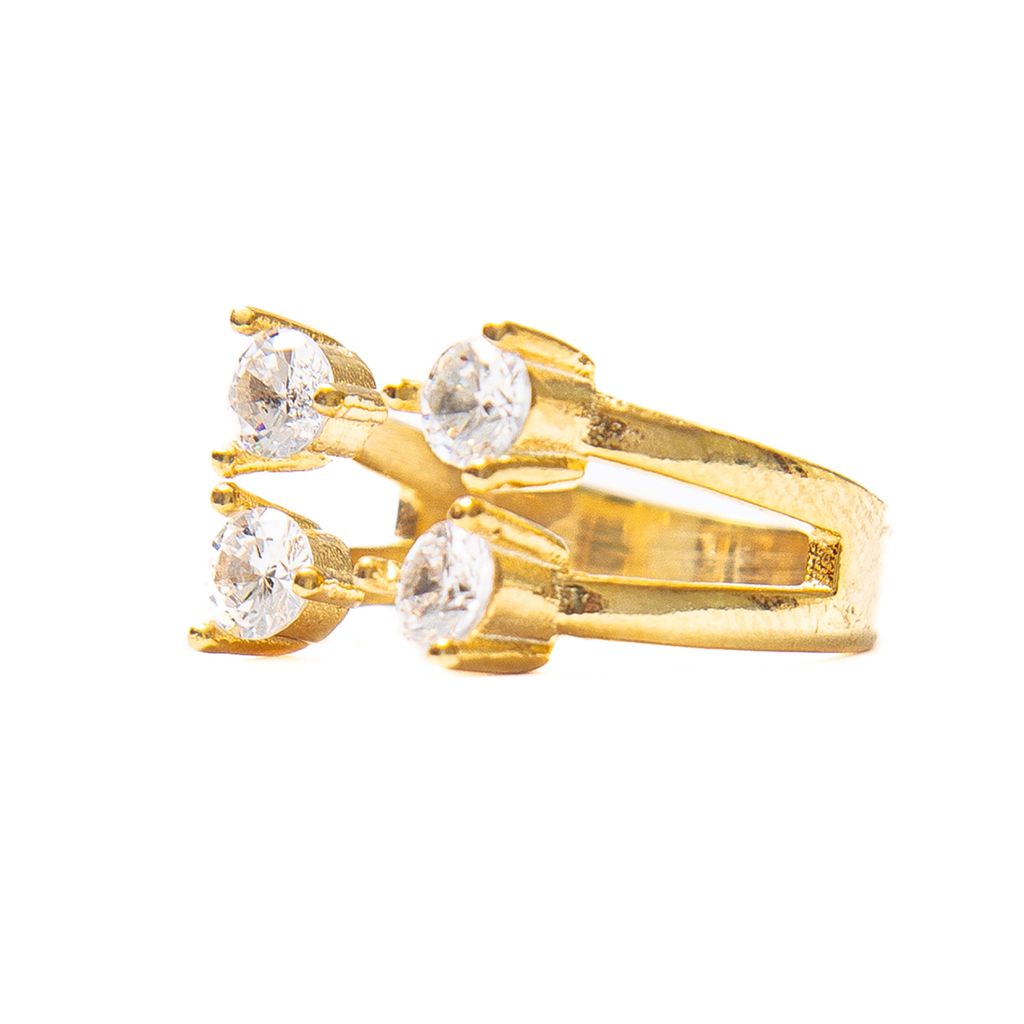 Anillo Acuario