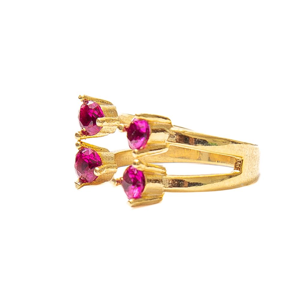 Anillo Acuario