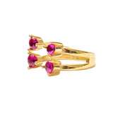 Anillo Acuario