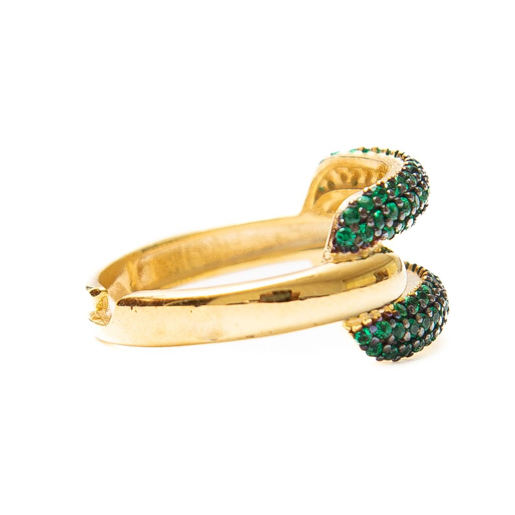 Anillo Ojal