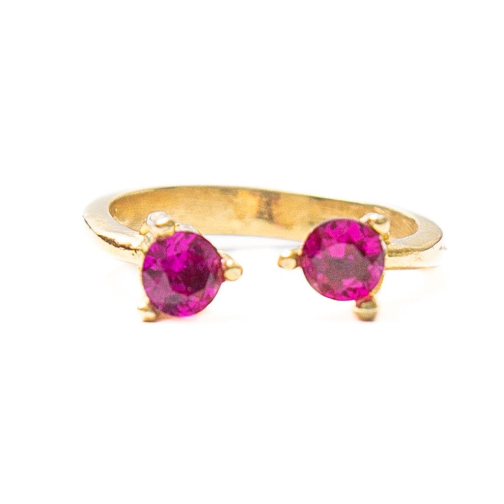 Anillo Gemelo 