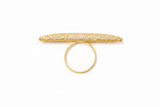 Anillo Meridiano