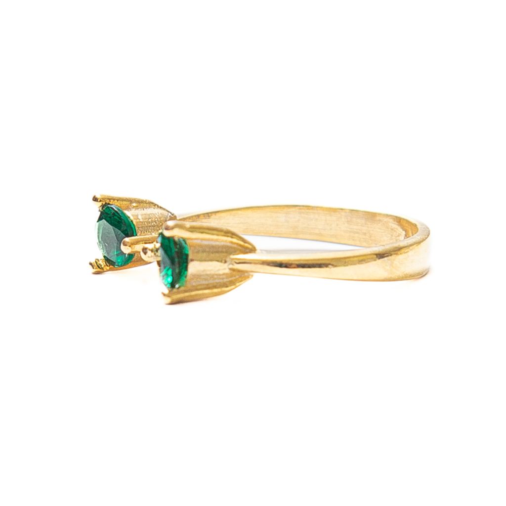 Anillo Gemelo 