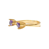 Anillo Gemelo 
