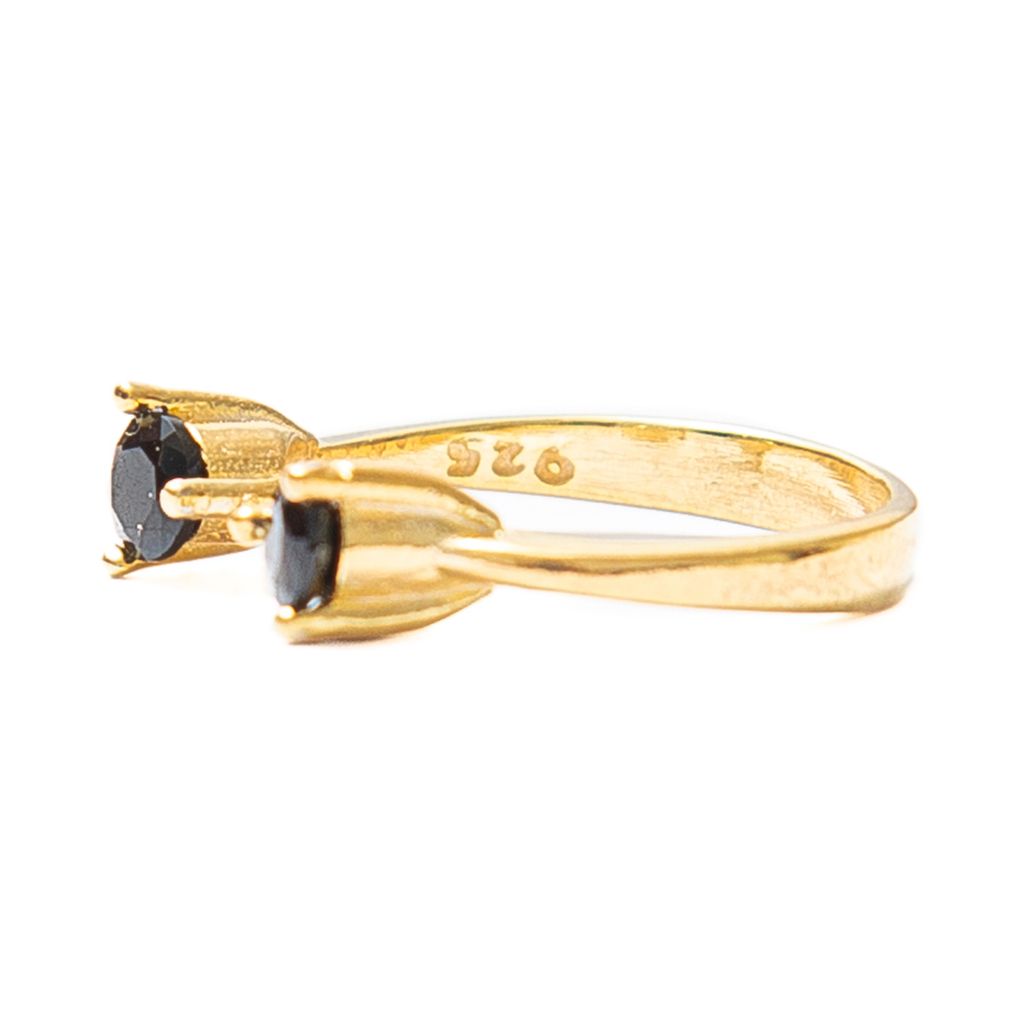 Anillo Gemelo 
