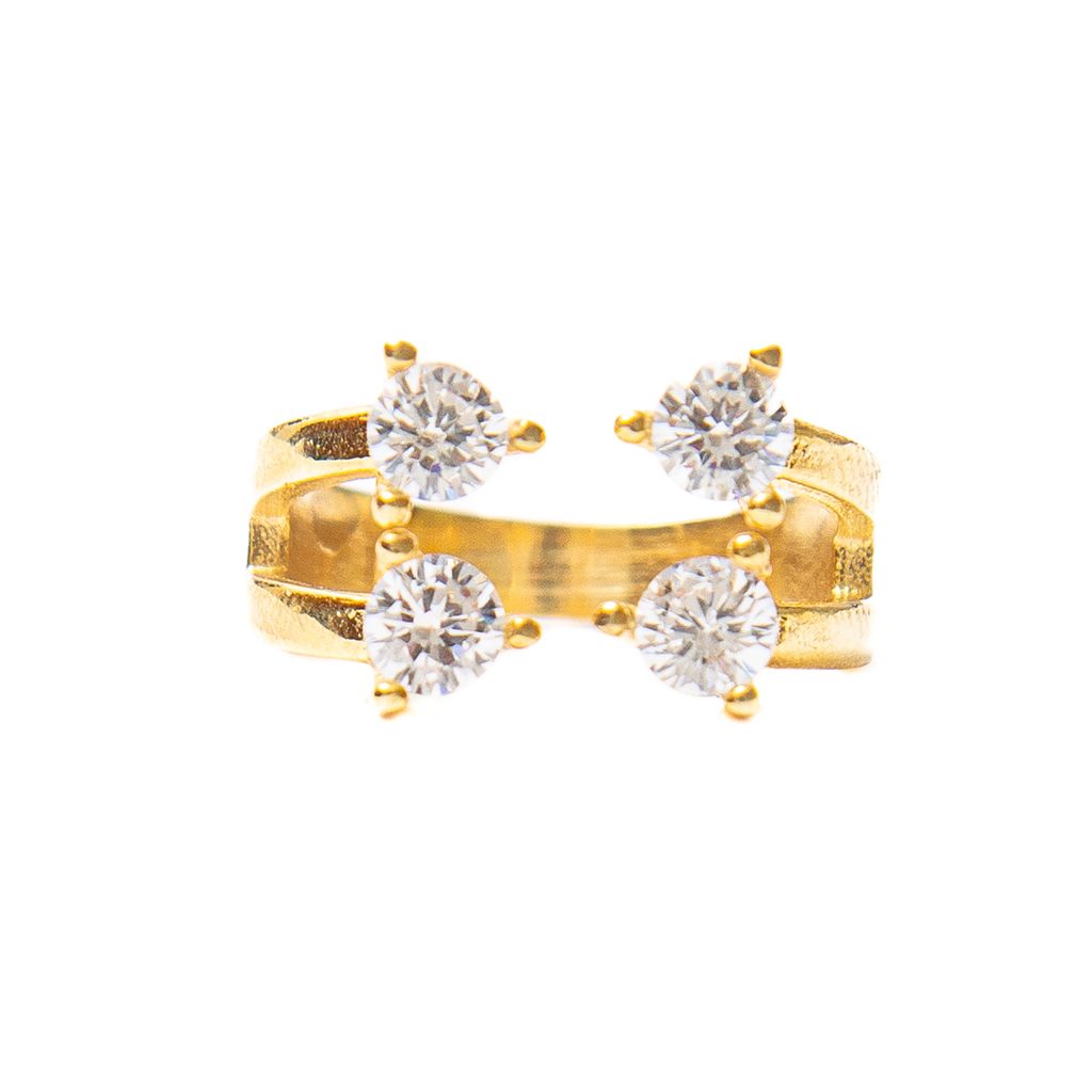 Anillo Acuario