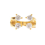 Anillo Acuario