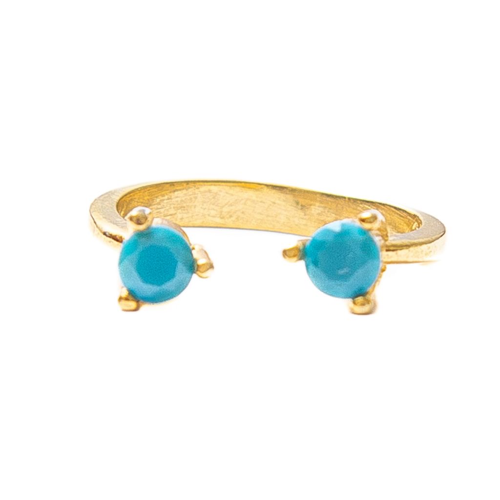 Anillo Gemelo 