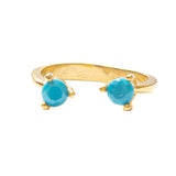 Anillo Gemelo 